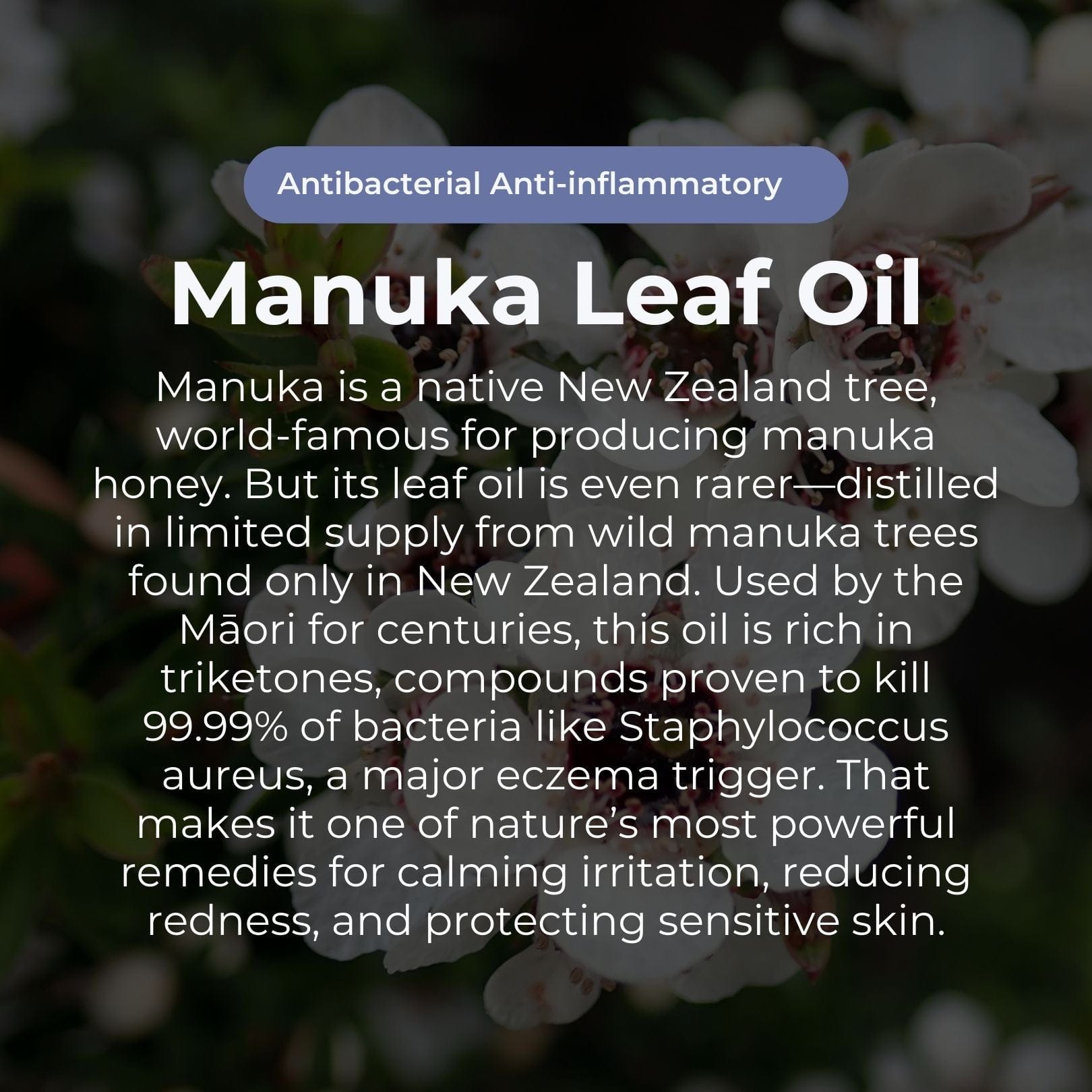 Sven’s Island New Zealand Miracle Manuka - Skin Repair Ointment 17g Eczema Cream